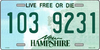 NH license plate 1039231