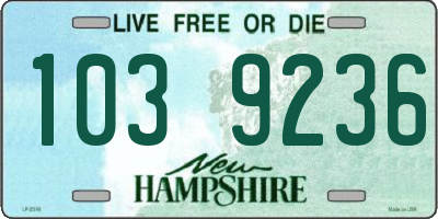 NH license plate 1039236