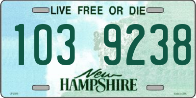 NH license plate 1039238