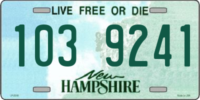 NH license plate 1039241