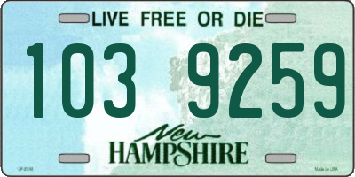 NH license plate 1039259