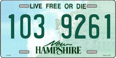 NH license plate 1039261