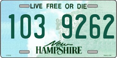 NH license plate 1039262