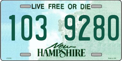 NH license plate 1039280