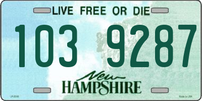 NH license plate 1039287