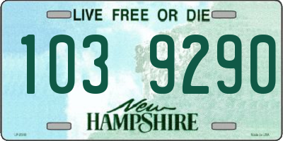 NH license plate 1039290