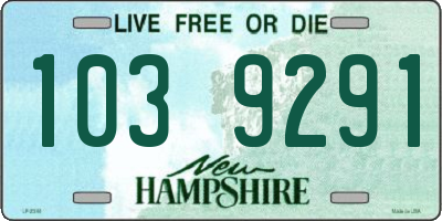 NH license plate 1039291