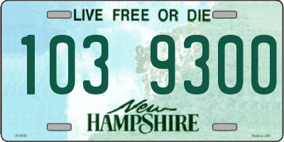 NH license plate 1039300
