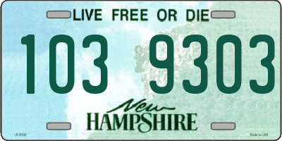 NH license plate 1039303