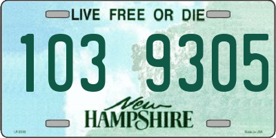 NH license plate 1039305