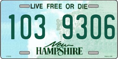 NH license plate 1039306