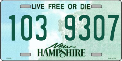 NH license plate 1039307