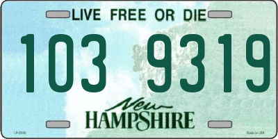 NH license plate 1039319