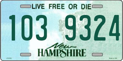 NH license plate 1039324