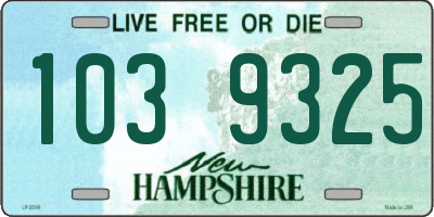 NH license plate 1039325