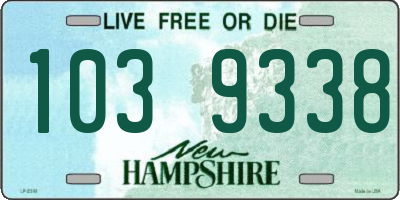 NH license plate 1039338