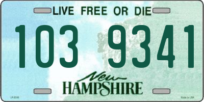 NH license plate 1039341