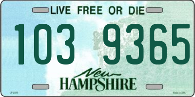 NH license plate 1039365