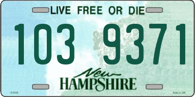 NH license plate 1039371