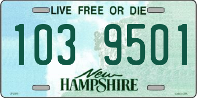 NH license plate 1039501