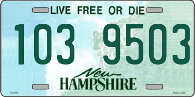 NH license plate 1039503