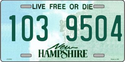 NH license plate 1039504