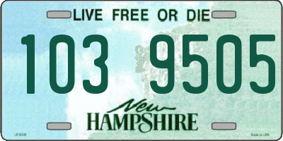 NH license plate 1039505