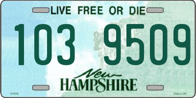NH license plate 1039509