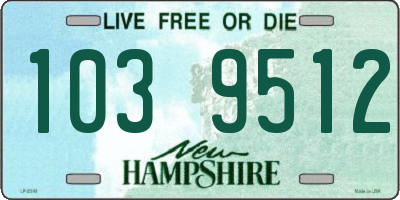NH license plate 1039512