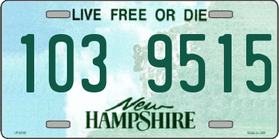 NH license plate 1039515