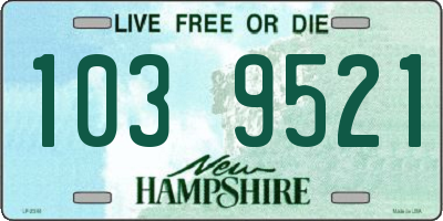 NH license plate 1039521