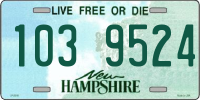 NH license plate 1039524