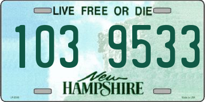 NH license plate 1039533