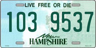 NH license plate 1039537