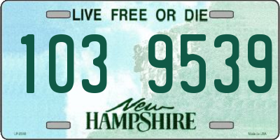 NH license plate 1039539