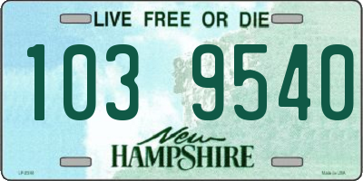NH license plate 1039540