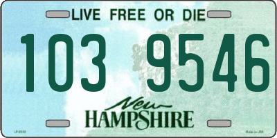 NH license plate 1039546