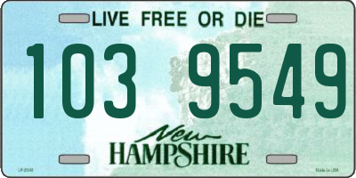 NH license plate 1039549
