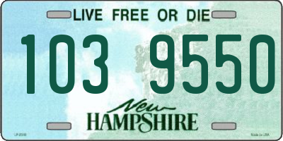 NH license plate 1039550