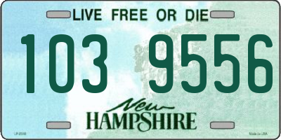 NH license plate 1039556
