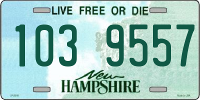 NH license plate 1039557
