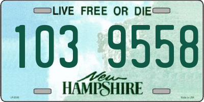 NH license plate 1039558