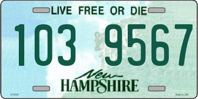 NH license plate 1039567