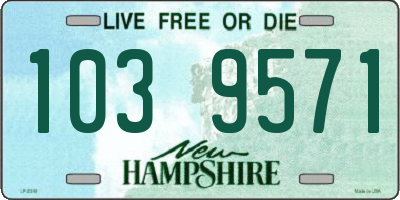 NH license plate 1039571