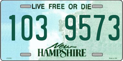 NH license plate 1039573