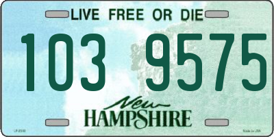 NH license plate 1039575