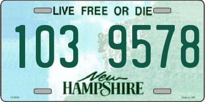 NH license plate 1039578