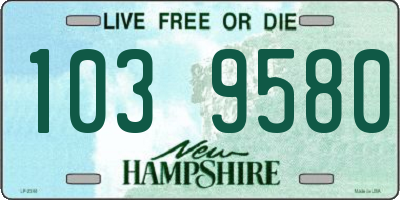 NH license plate 1039580