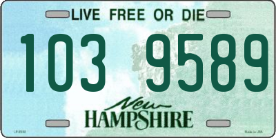 NH license plate 1039589