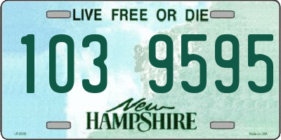 NH license plate 1039595